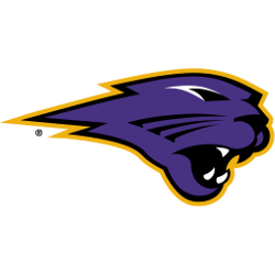 Northern Iowa Panthers Alternate Logo 2002 - 2014